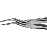 Anatomica-Zahnzangen - 1 db, DG797R, für sehr feine obere Wurzeln, tiefgreifend - DG797R