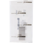 Nadeldosen - 1 db, Nadeletui, 50 x 25 x 5 mm, BL910R - BL910R