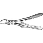 Zahnzangen, 1 darab, OK für Wurzeln, mit Feder