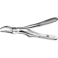 Zahnzangen, 1 darab, OK für Wurzeln, mit Feder