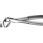 Zahnzangen, 1 darab, UK für Molaren