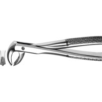 Zahnzangen, 1 darab, UK für Molaren