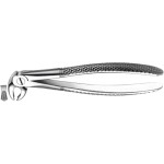 Kinderzahnzangen - 1 db, 22K, alsó Molaren - 22K Kinderzahnzangen - 1 db, 22K, alsó Molaren - 22K