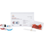 Core Paste Kit Fluorid (A3,25, A3,5), 2 x 25 g Core Paste Kit Fluorid (A3,25, A3,5), 2 x 25 g