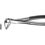 Zahnzangen, 1 darab, UK für Wurzeln