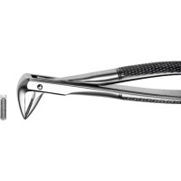 Zahnzangen, 1 darab, UK für Wurzeln