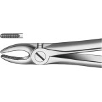 Zahnzangen, 1 darab, OK für Schneidezähne, Eckzähne