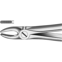 Zahnzangen, 1 darab, OK für Schneidezähne, Eckzähne