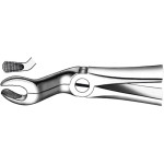 Zahnzangen, 1 darab, OK für Weisheitszähne