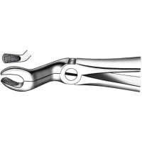 Zahnzangen, 1 darab, OK für Weisheitszähne