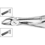 Kinderzahnzange nach Klein - 1 db, HSA 341-02, Figur 2, obere Prämolaren - HSA 341-02