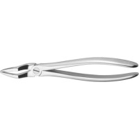 Zahnzangen, 1 darab, OK für Wurzeln