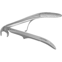 Zahnzangen Kinder, 1 darab, FX2CE, untere Molaren