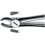 Zahnzangen, 1 darab, OK für Molaren rechts