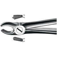 Zahnzangen, 1 darab, OK für Molaren rechts