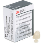 Polycarbonat-Kronen - 5 darabos csomag, Nr. 17 - P-17