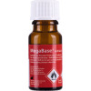 MegaBase® Packung 2 x 50 ml Doppelkartuschen Silikon