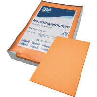 Normtrayeinlagen - 250 darabos csomag, 28 x 18 cm, orange - 91954