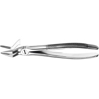 Zahnzangen, 1 darab, OK für Wurzeln