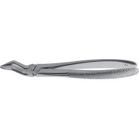 Wurzelzange Englische Form - 1 db, 152-51, felső - 152-51