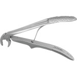 Zahnzangen Kinder, 1 darab, FX3CE, untere Wurzeln