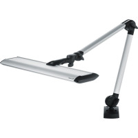 TANEO, 1 darab, mit 12 LEDs